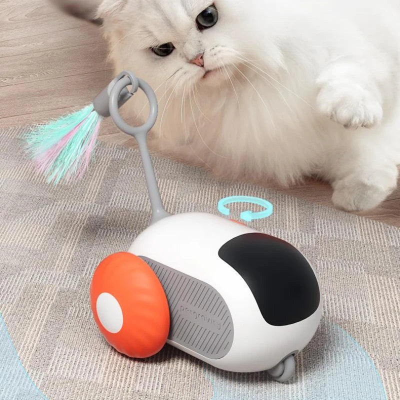 Moving Cat Toy Car