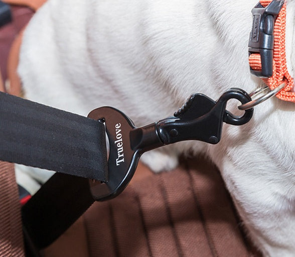 car accessories for pets