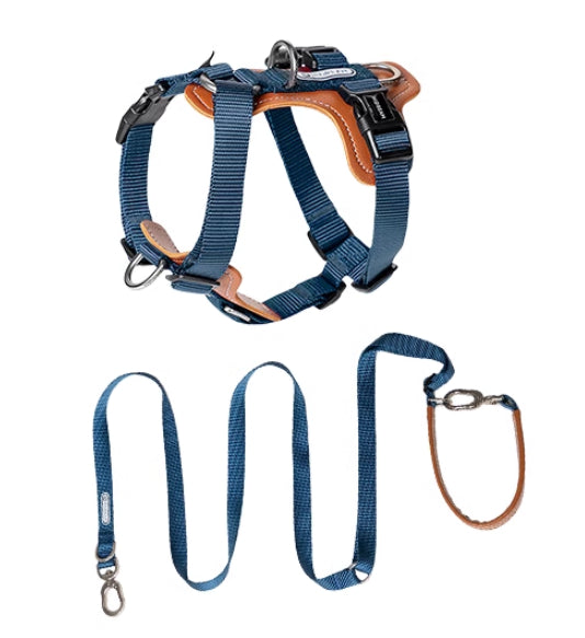 dog leash and harness set