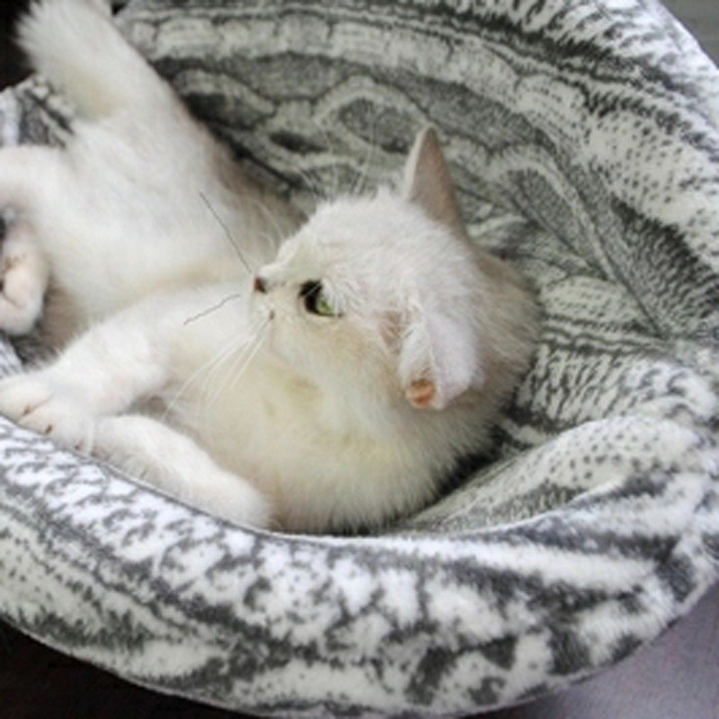 enclosed cat bed