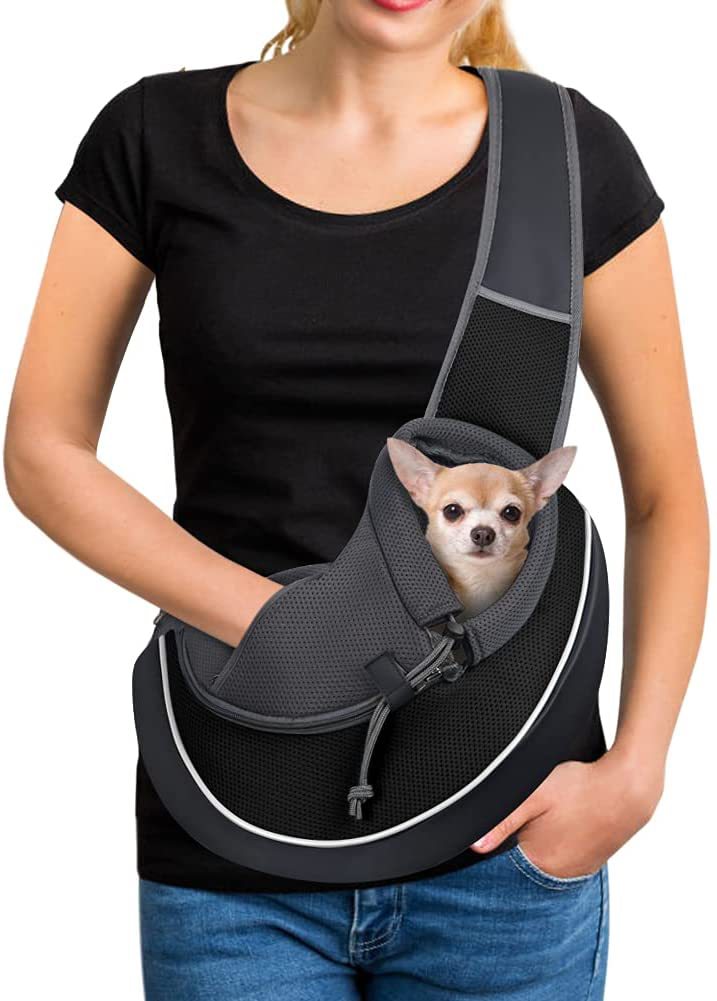outdoor pet carrier