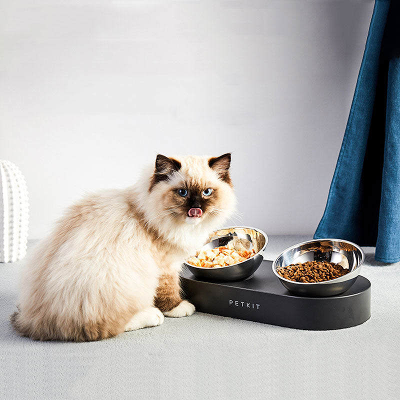 Cat sitting next to a PetKit food bowl on a light gray surface.