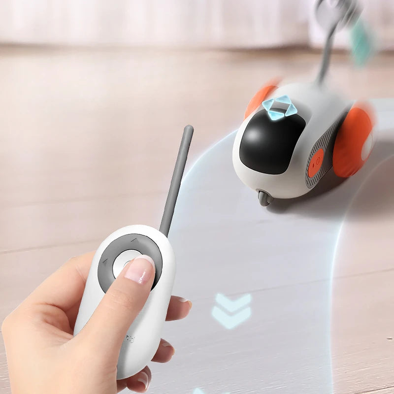 Cat Toy with Remote Control