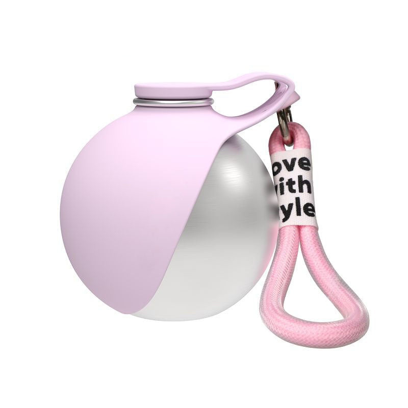 Dog Walking Accessories