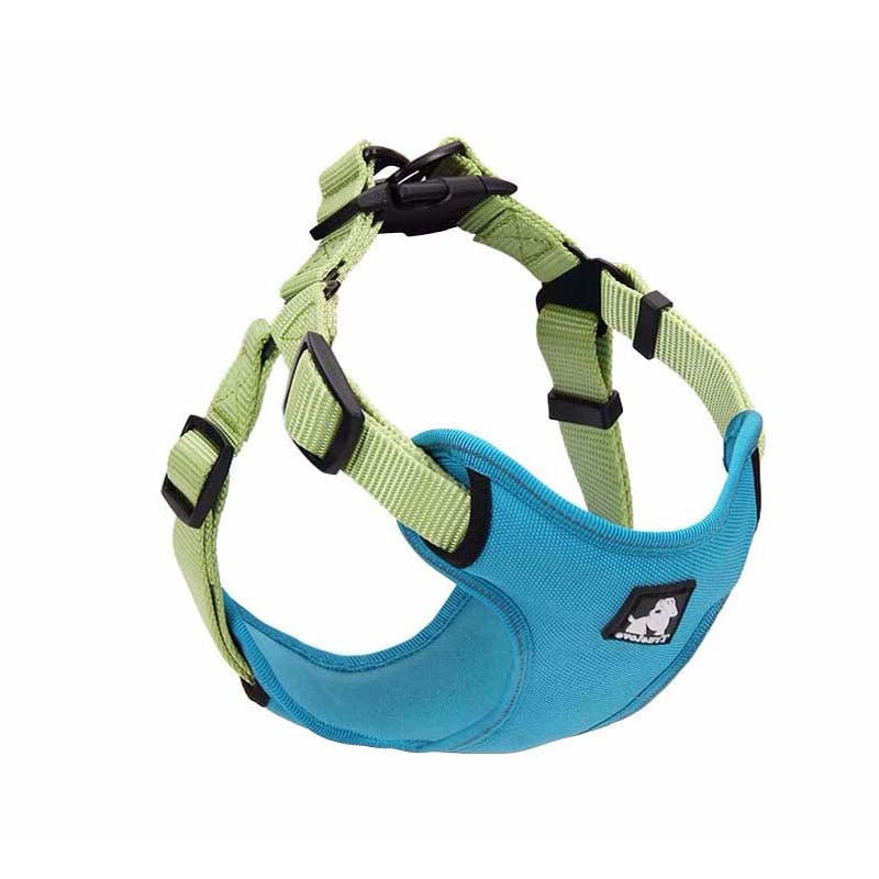 Dog leash and collar set