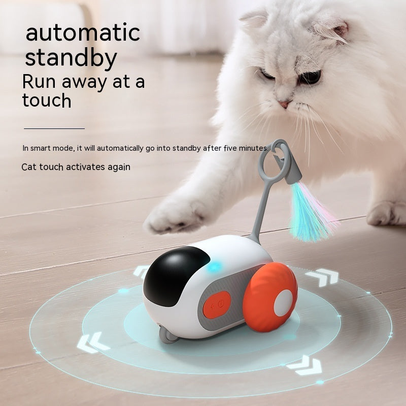 Indoor Cat Toys