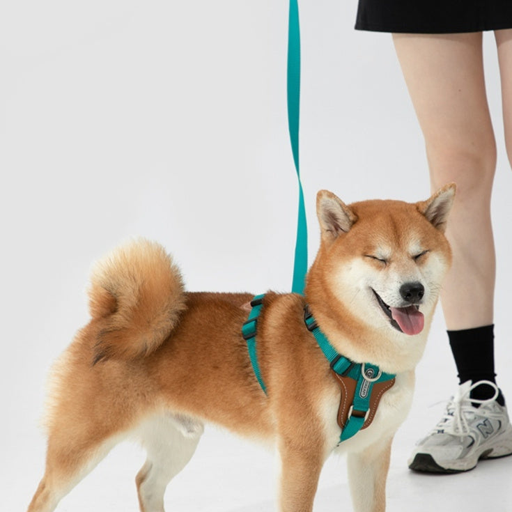 Multifunctional dog leash
