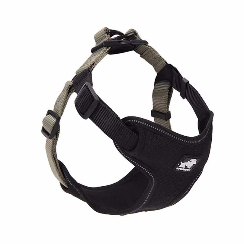 Oxford cloth dog leash