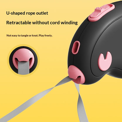 Portable dog lead