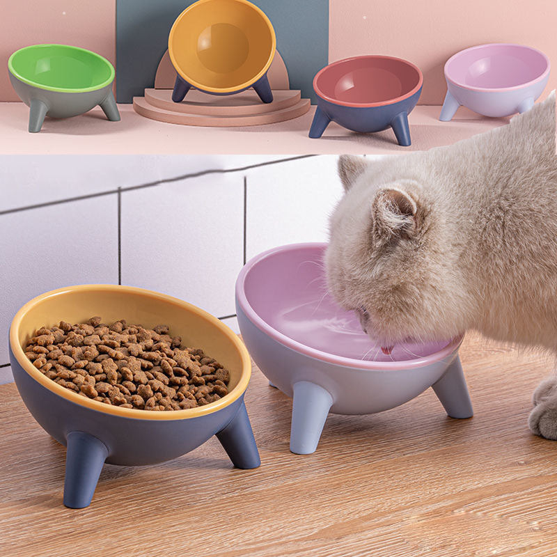 Tilted Pet Bowl