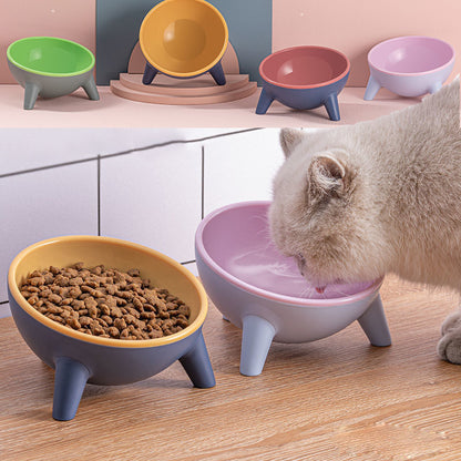 Tilted Pet Bowl