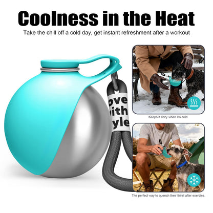 Turquoise and silver dog water bottle with text &