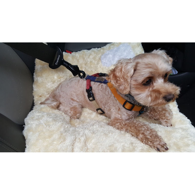 aluminum alloy pet seat belt buckle