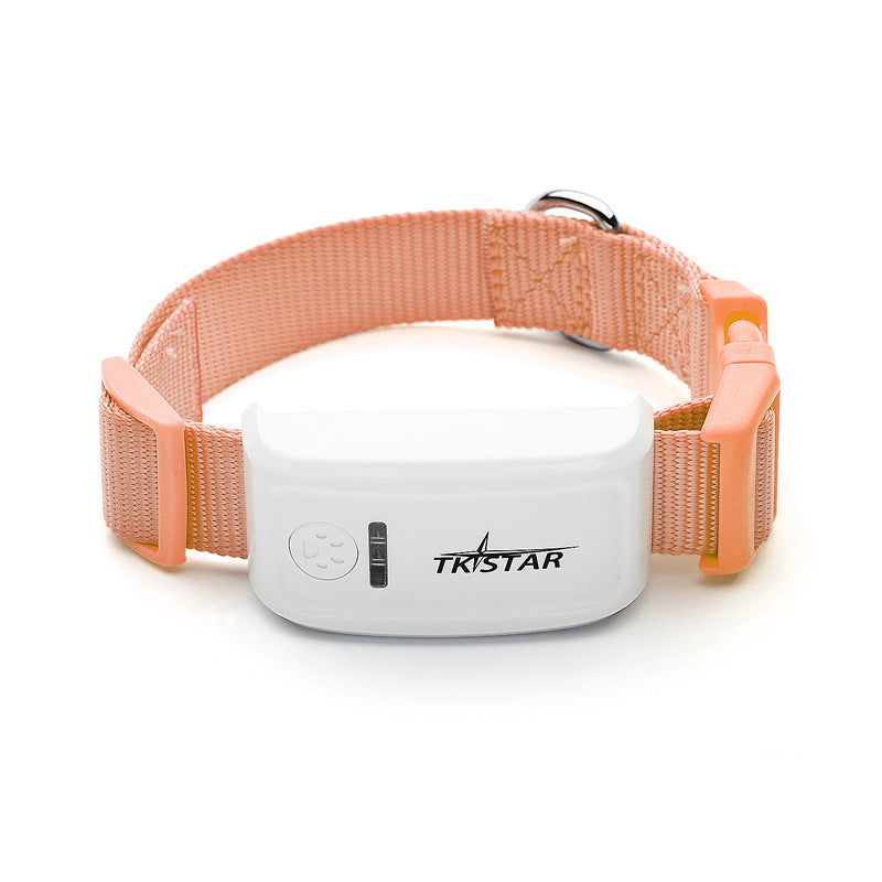 cat GPS tracker