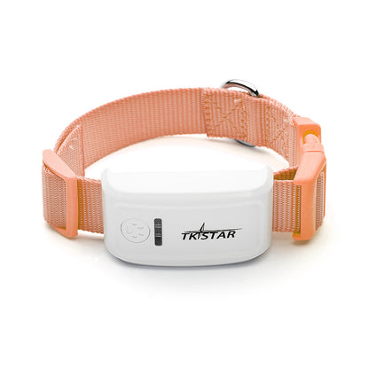 cat GPS tracker