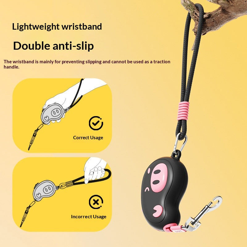 cat walking leash