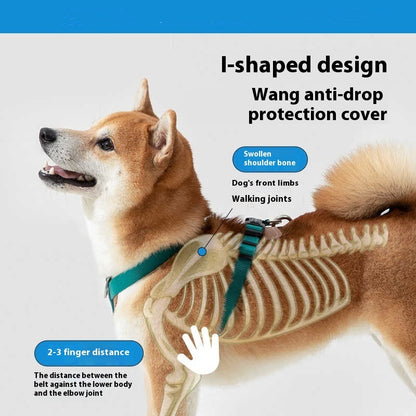 dog chest harness