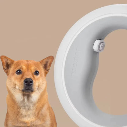 A tan dog is shown beside a white circular pet collar with a small attached clip or tag, against a plain beige background.