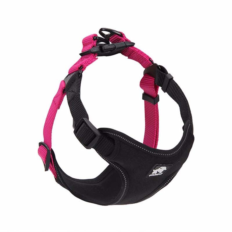 dog outdoor accessories