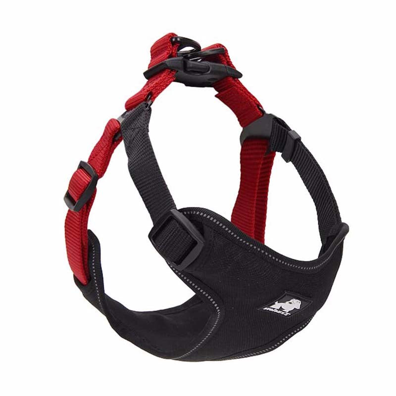 dog walking set,