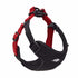dog walking set,
