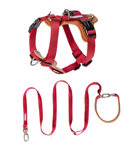 double-pull dog harness