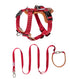 double-pull dog harness