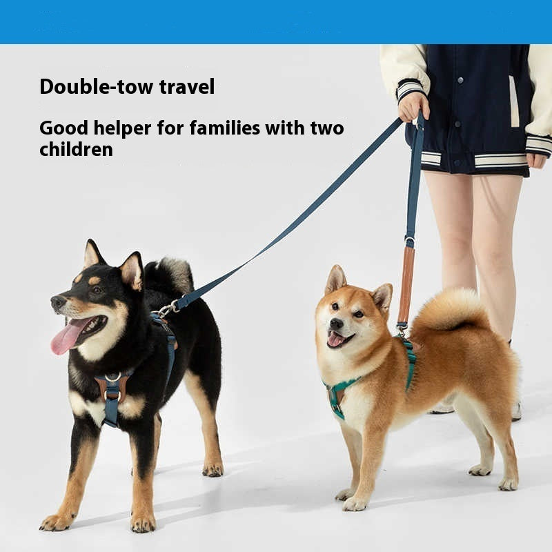 heavy-duty dog walking leash