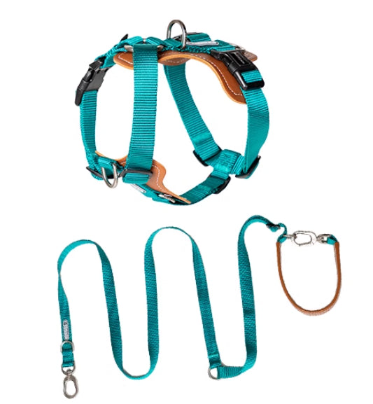 nylon dog leash