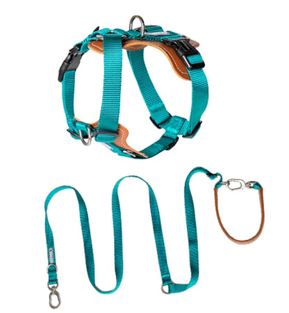 nylon dog leash