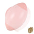 pet hair cleaning tool