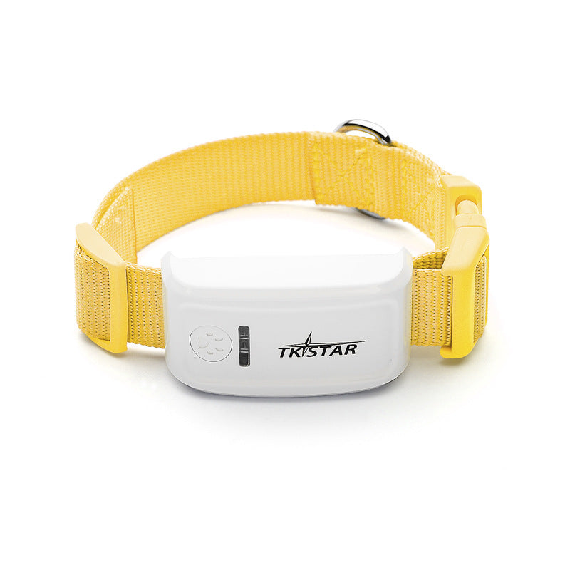 pet route history,