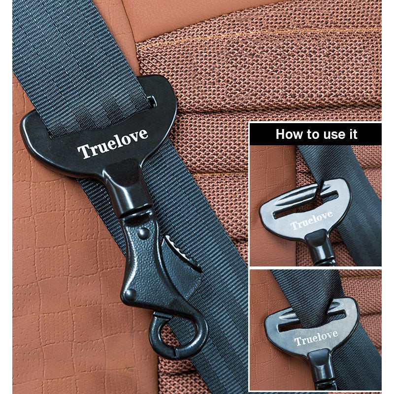 pet travel safety buckle.