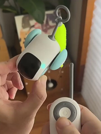 Moving Cat Toy Car