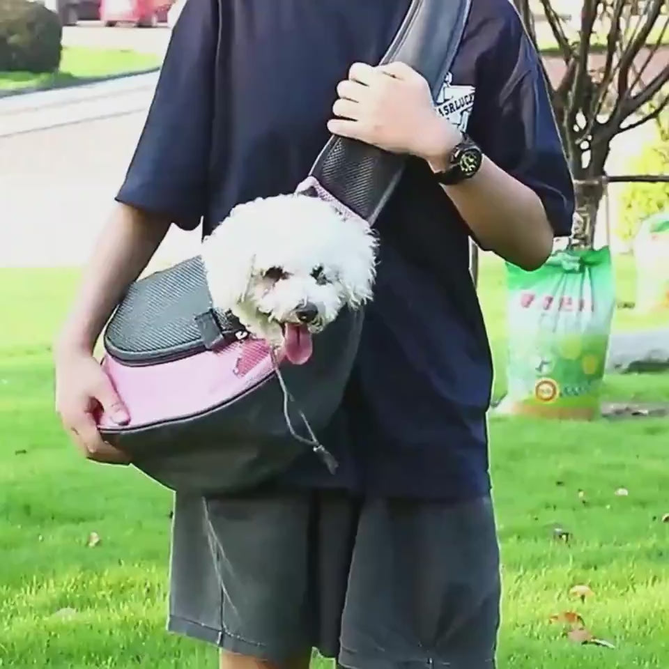 pet travel accessories