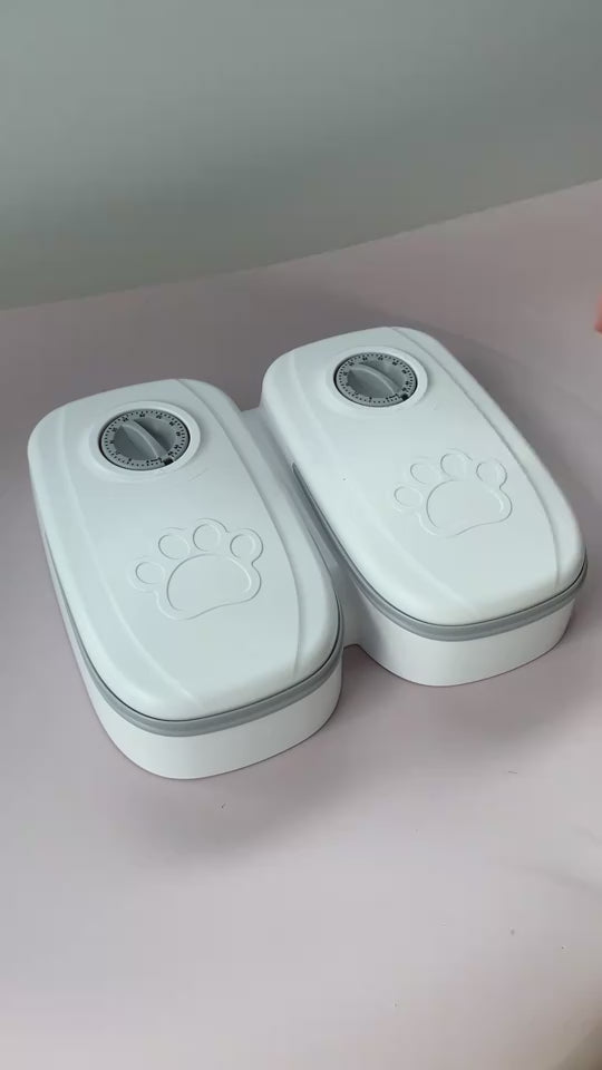 Pet Feeding Station
